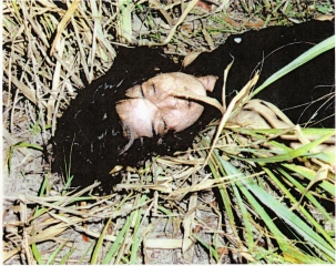 prova-do-soco1