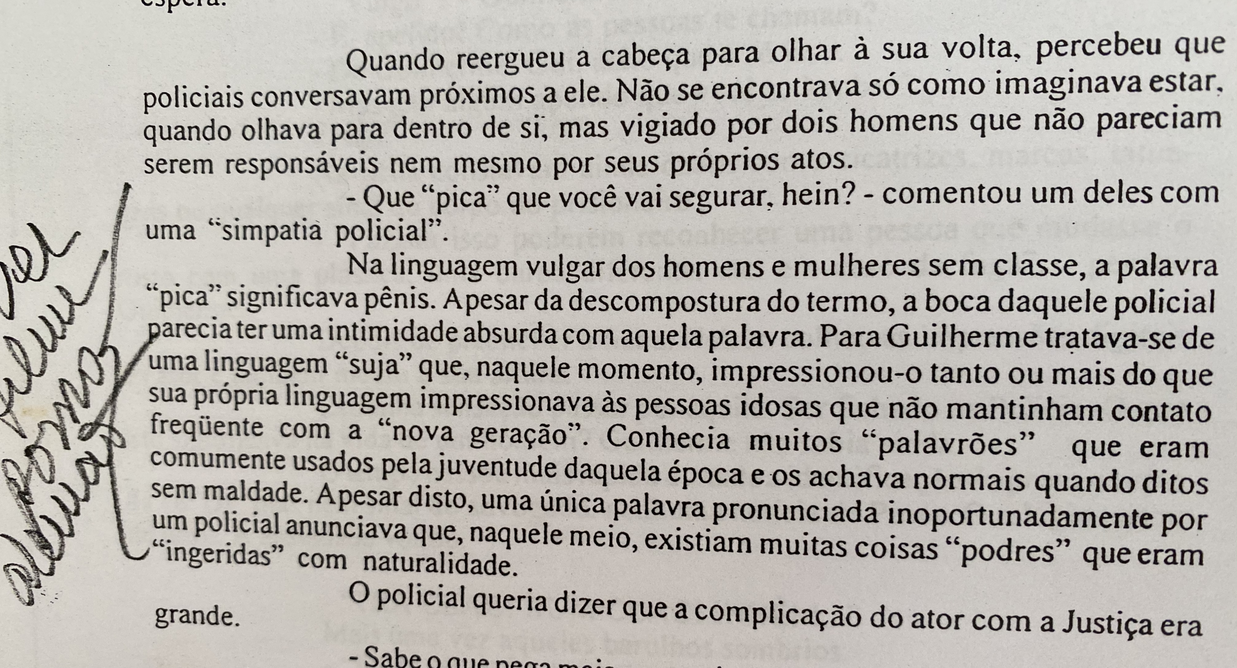 livro-pica